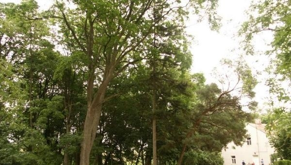 Žilpamūšio parkas