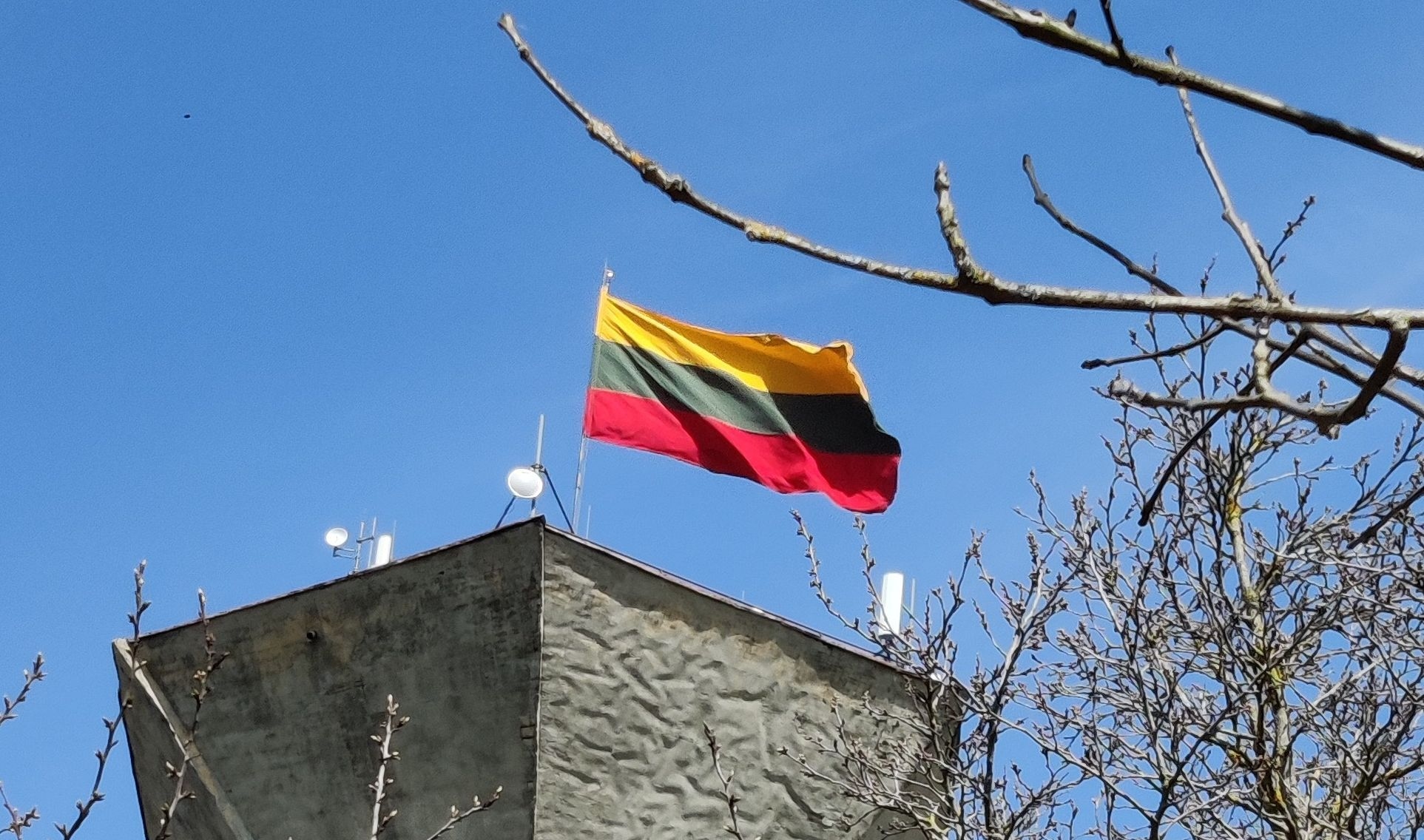 Trispalvė Pasvalyje