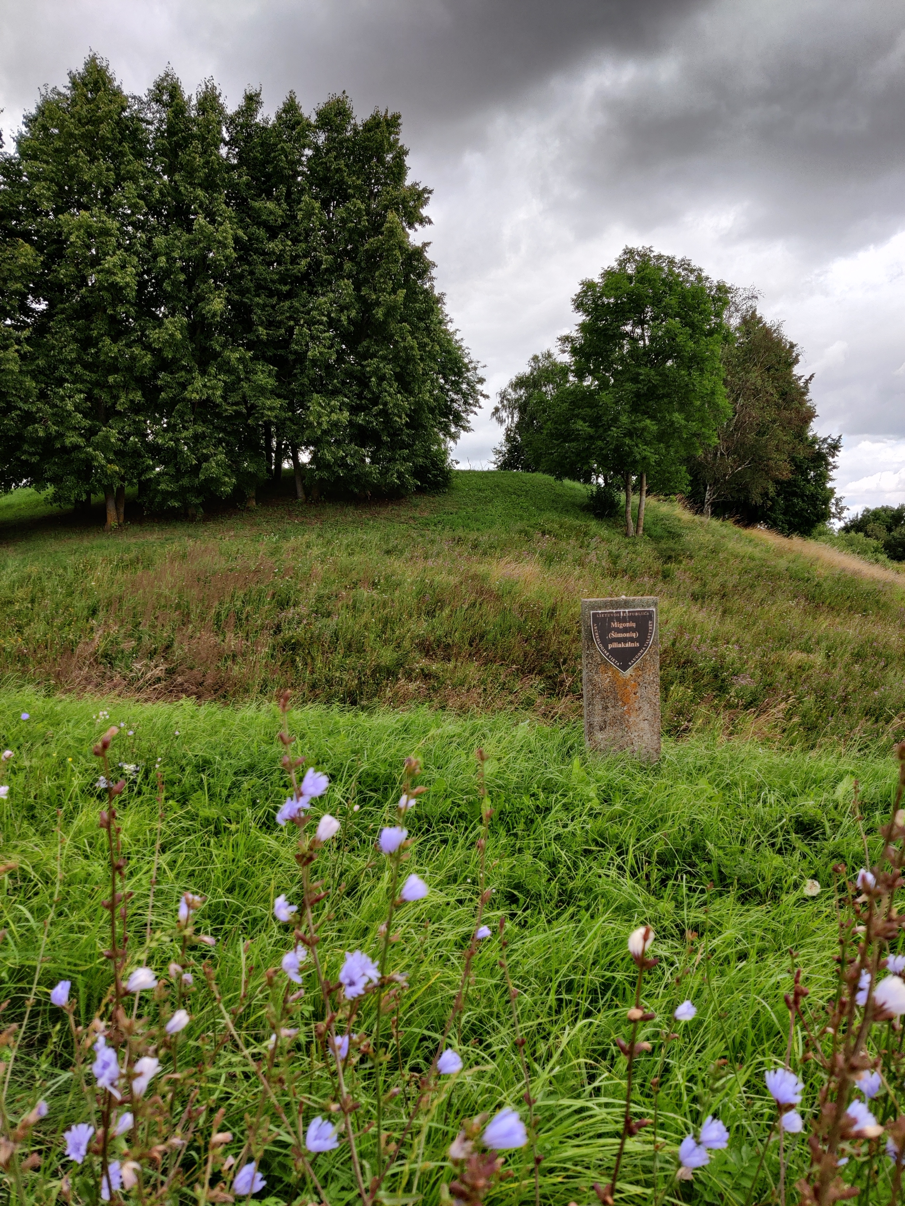 Šimonių piliakalnis