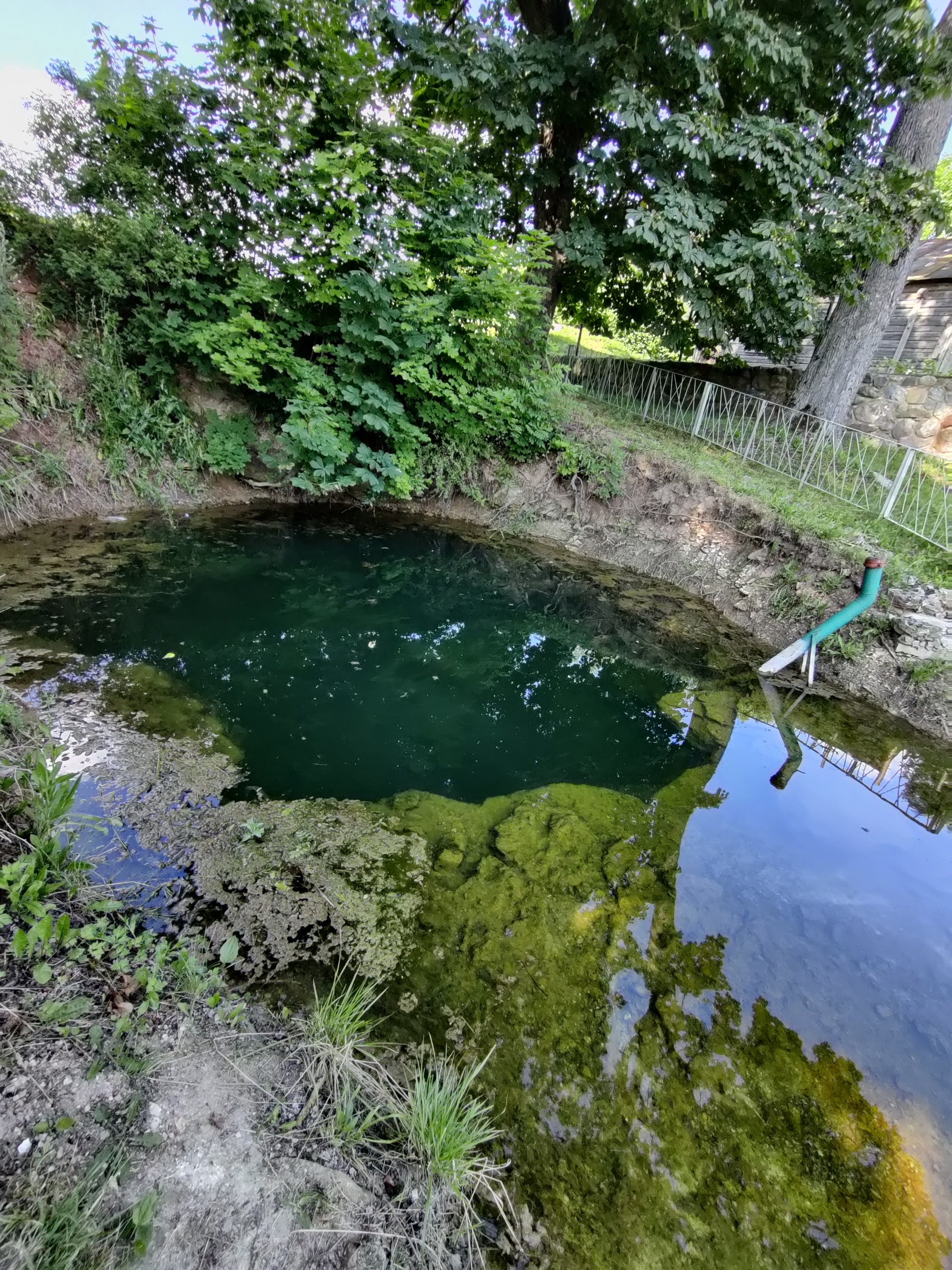 Žalsvasis šaltinis