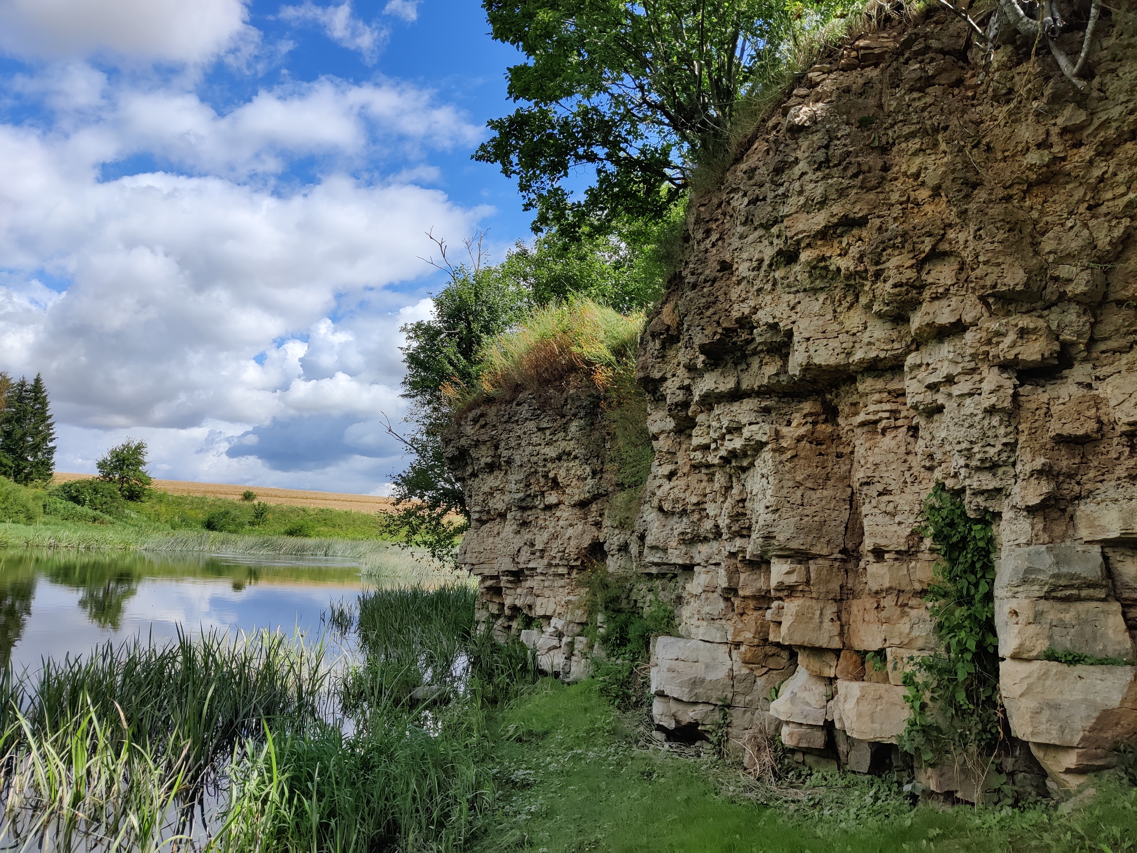 Skalių kalnas prie Mūšos