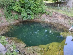 Žalsvasis šaltinis