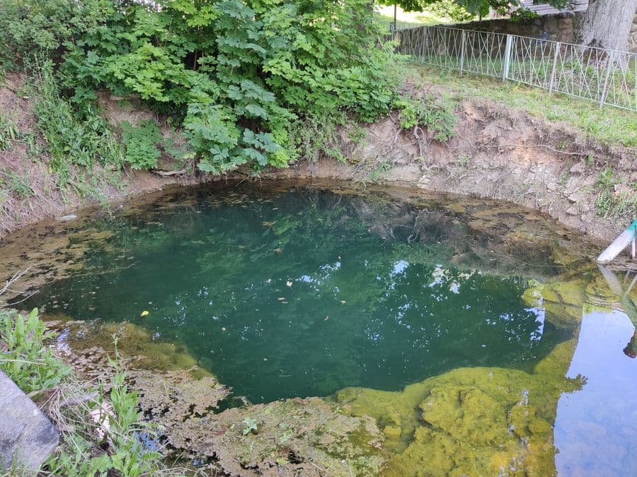 Žalsvasis šaltinis