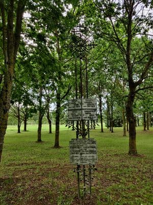 Paminklas žuvusiems ir ąžuolai jų atminimui