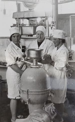 Vaškų pienininkės