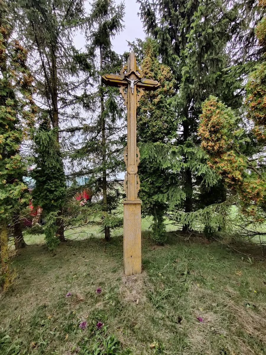Stogastulpis greta buvusios Krivickų sodybvietės Kiauliškių k., Biržų r. Nuotr. R. Grubinskienės