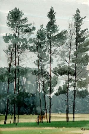 V. Trušys. Pušys. 1991